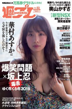 夫妻请部长家里做客